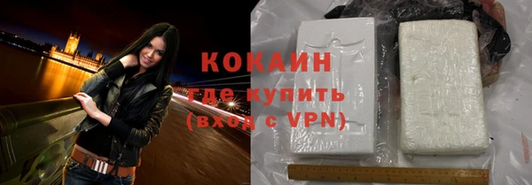 прущие грибы Краснослободск