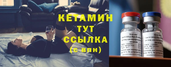 прущие грибы Краснослободск