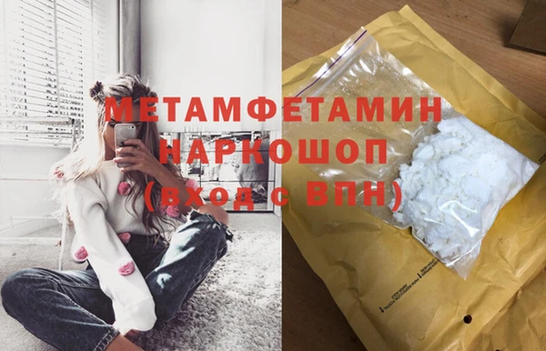 прущие грибы Краснослободск