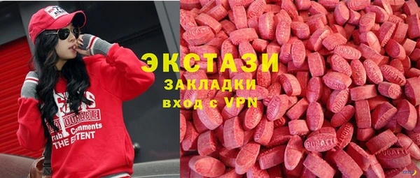 прущие грибы Краснослободск