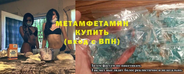 прущие грибы Краснослободск