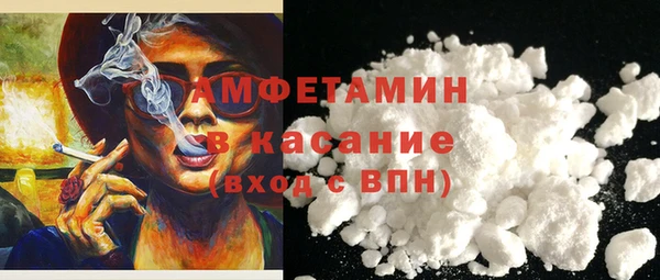 прущие грибы Краснослободск