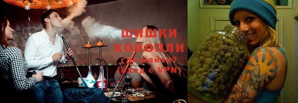 прущие грибы Краснослободск