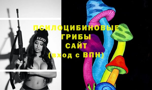 прущие грибы Краснослободск